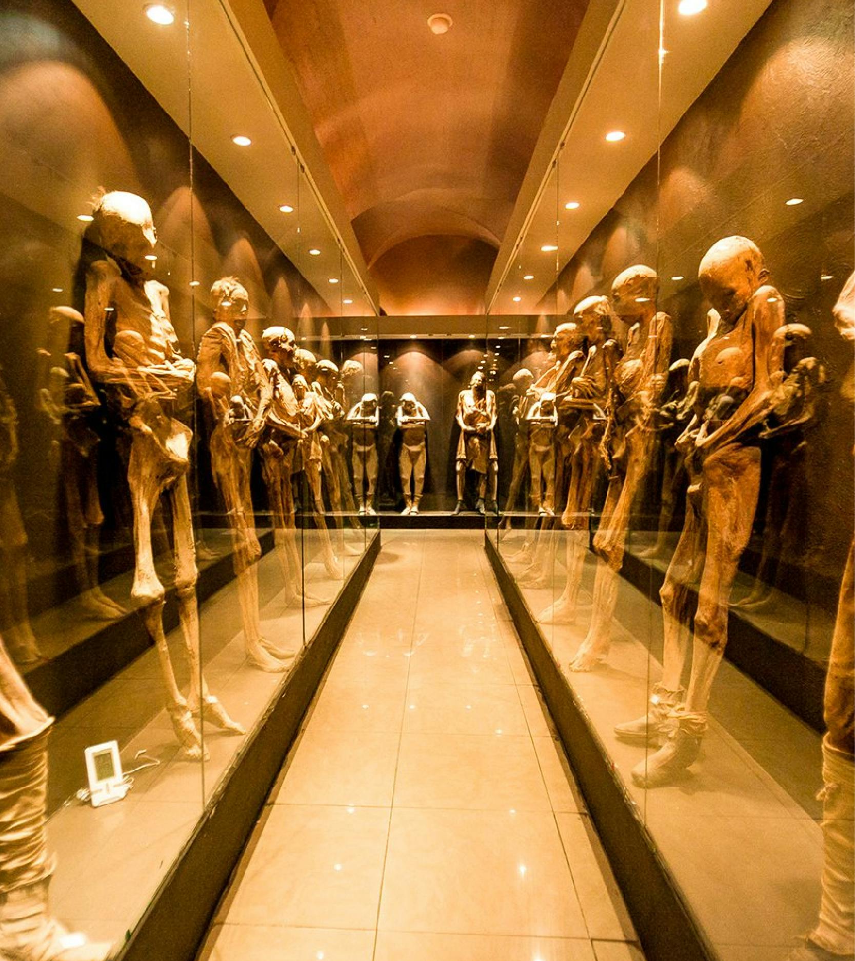 mummy Museum