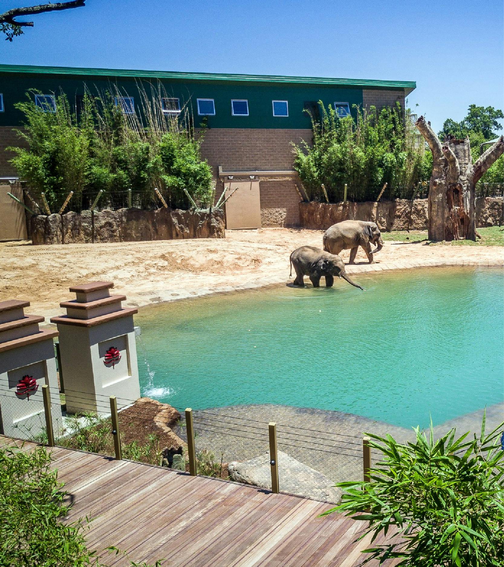 Zoológico de Houston